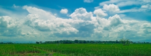Jdsatya_