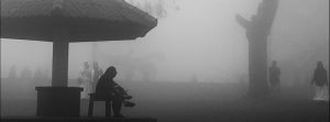 zhar_gallery